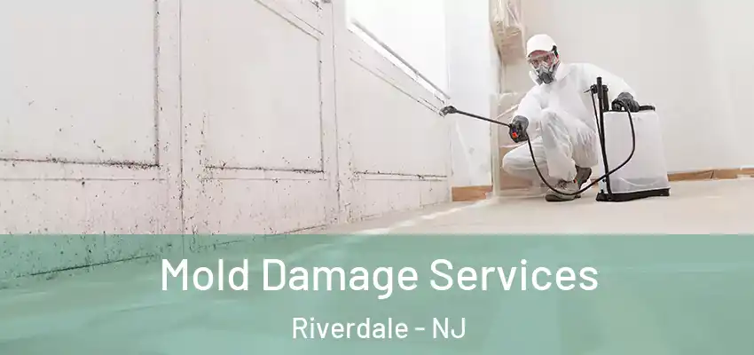  Mold Damage Services Riverdale - NJ