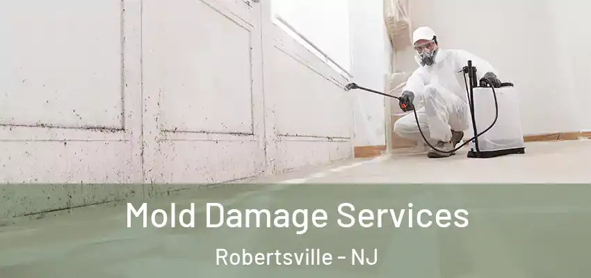 Mold Damage Services Robertsville - NJ