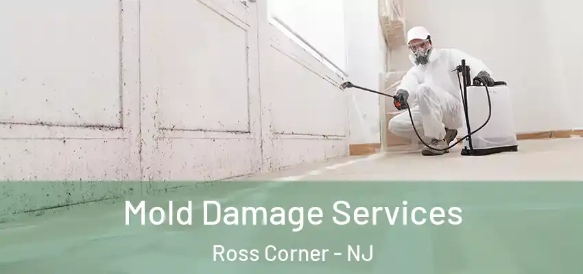 Mold Damage Services Ross Corner - NJ
