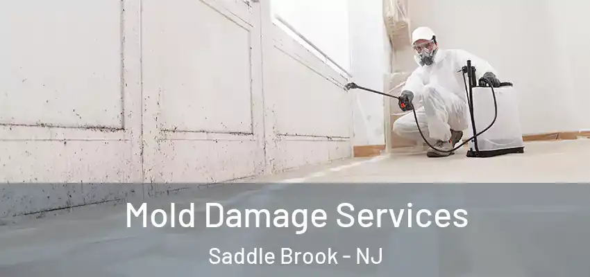Mold Damage Services Saddle Brook - NJ