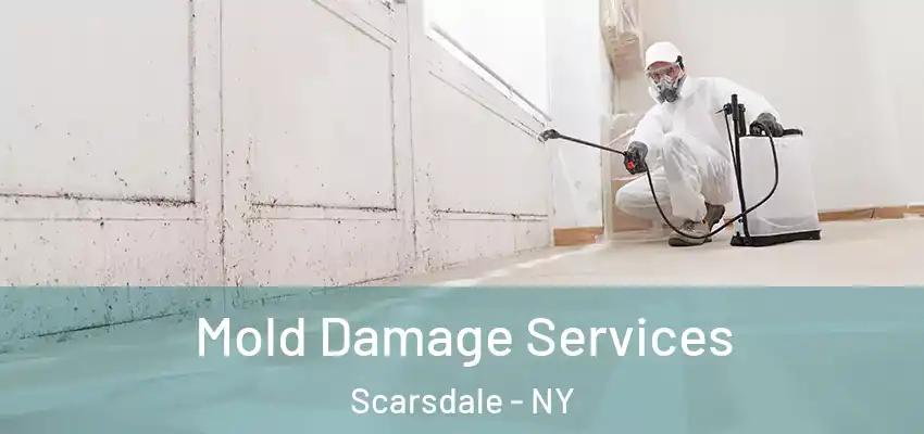 Mold Damage Services Scarsdale - NY