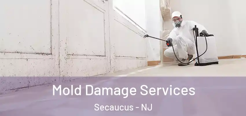 Mold Damage Services Secaucus - NJ