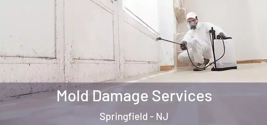 Mold Damage Services Springfield - NJ