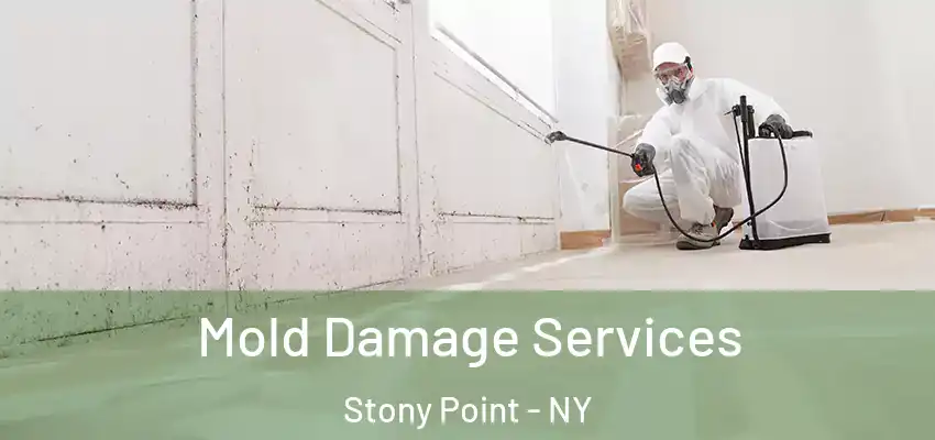 Mold Damage Services Stony Point - NY