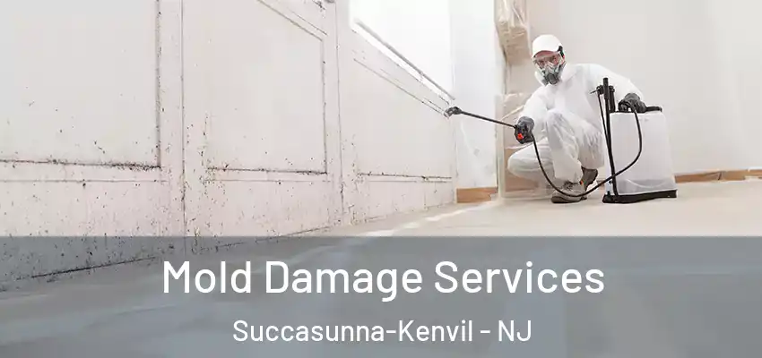  Mold Damage Services Succasunna-Kenvil - NJ