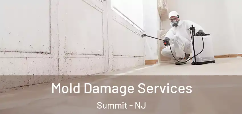 Mold Damage Services Summit - NJ