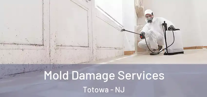 Mold Damage Services Totowa - NJ