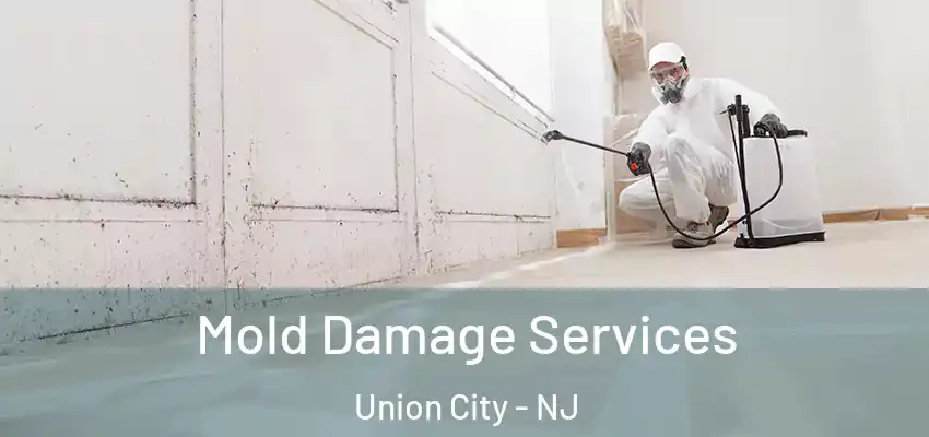  Mold Damage Services Union City - NJ