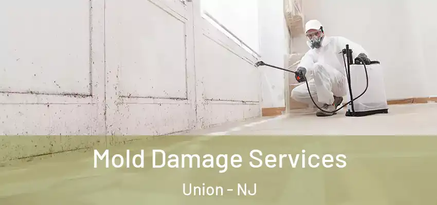 Mold Damage Services Union - NJ