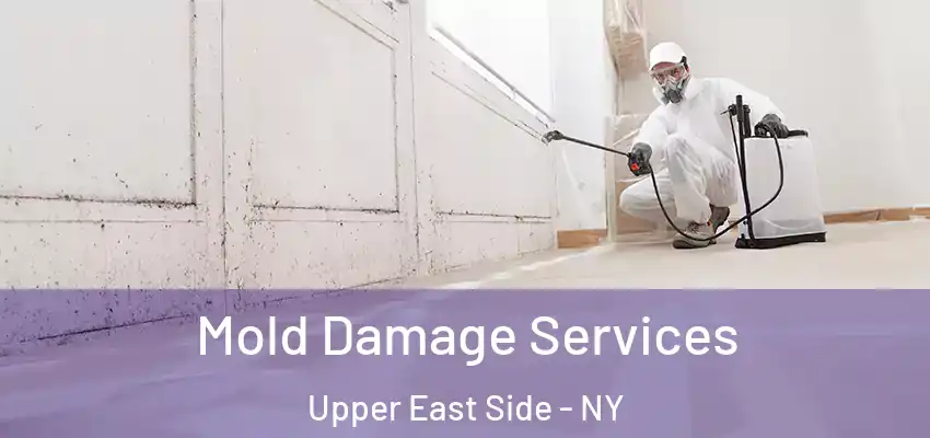 Mold Damage Services Upper East Side - NY