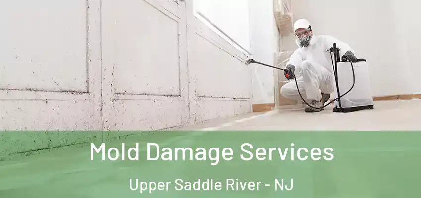 Mold Damage Services Upper Saddle River - NJ