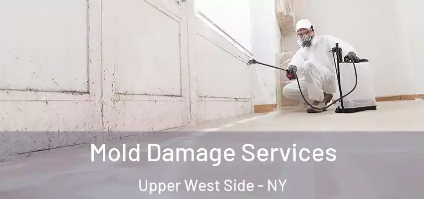 Mold Damage Services Upper West Side - NY