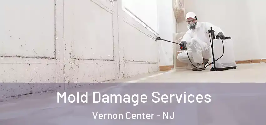 Mold Damage Services Vernon Center - NJ
