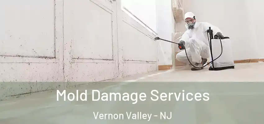 Mold Damage Services Vernon Valley - NJ