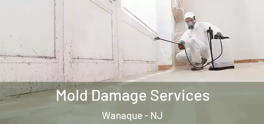 Mold Damage Services Wanaque - NJ