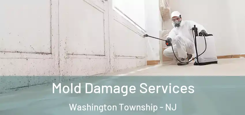 Mold Damage Services Washington Township - NJ