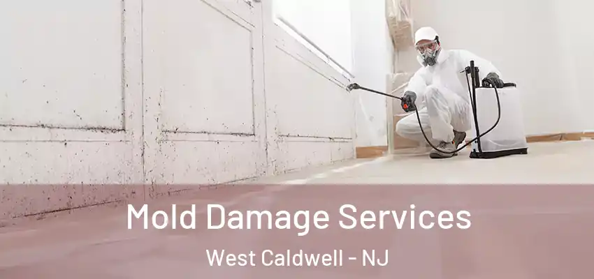 Mold Damage Services West Caldwell - NJ