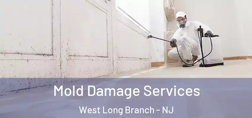 Mold Damage Services West Long Branch - NJ