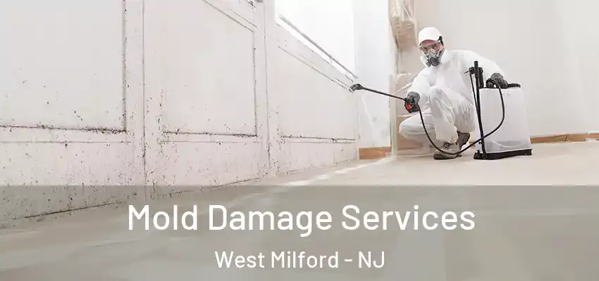 Mold Damage Services West Milford - NJ