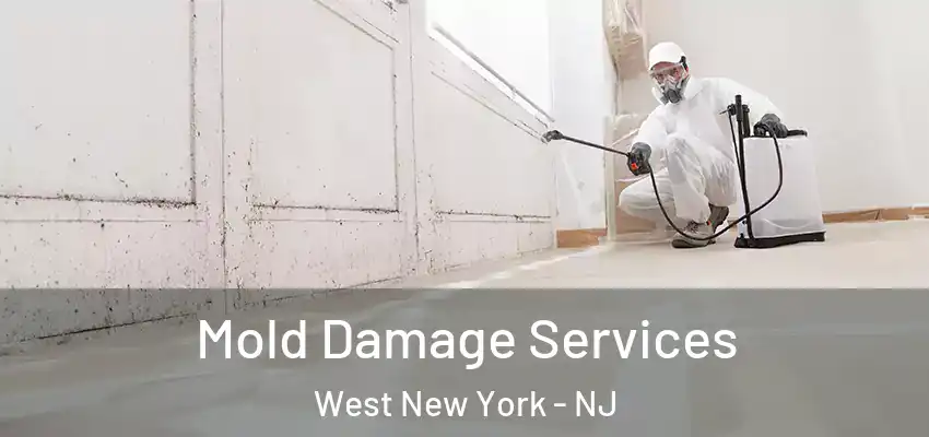  Mold Damage Services West New York - NJ