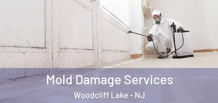 Mold Damage Services Woodcliff Lake - NJ