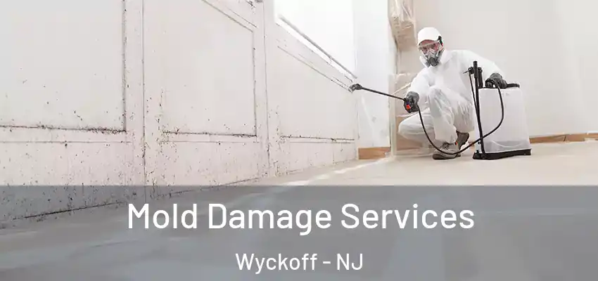 Mold Damage Services Wyckoff - NJ