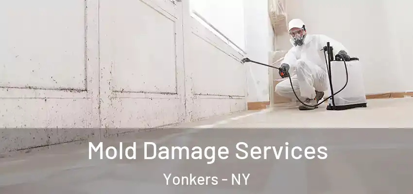 Mold Damage Services Yonkers - NY