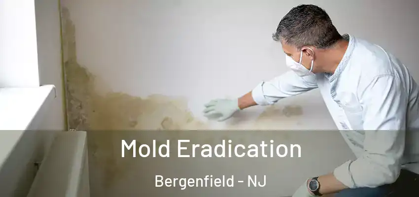 Mold Eradication Bergenfield - NJ