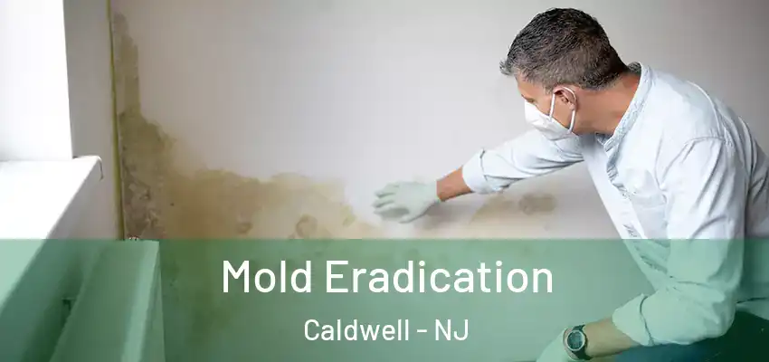  Mold Eradication Caldwell - NJ