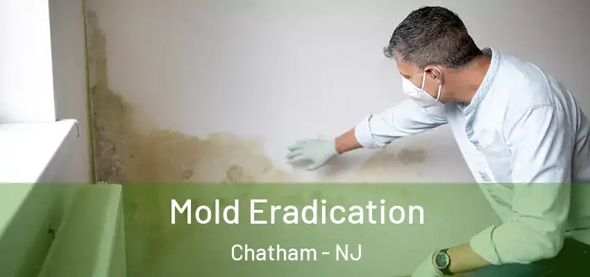 Mold Eradication Chatham - NJ