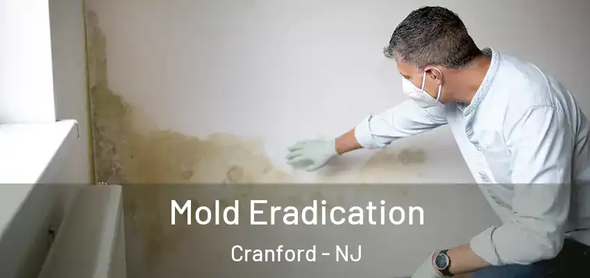  Mold Eradication Cranford - NJ