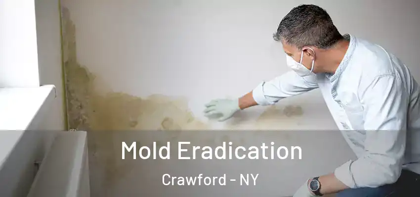  Mold Eradication Crawford - NY