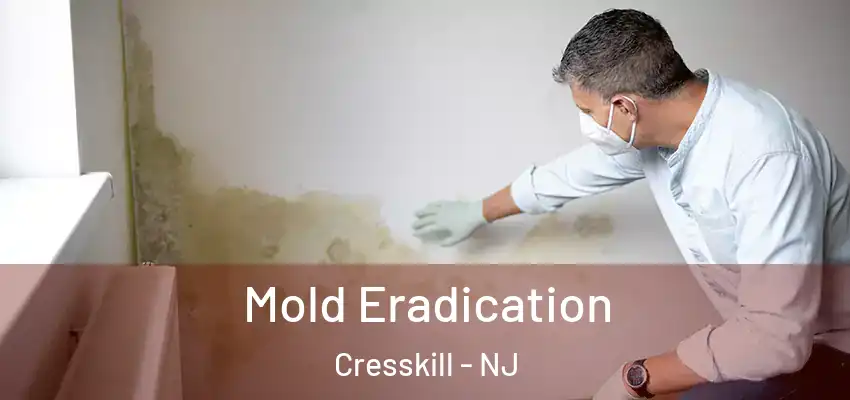 Mold Eradication Cresskill - NJ
