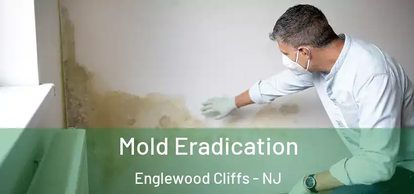  Mold Eradication Englewood Cliffs - NJ