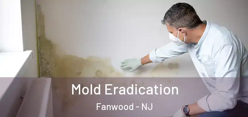  Mold Eradication Fanwood - NJ