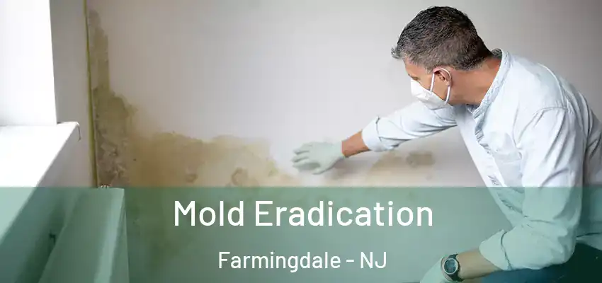 Mold Eradication Farmingdale - NJ