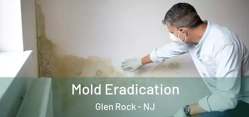  Mold Eradication Glen Rock - NJ