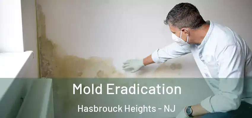 Mold Eradication Hasbrouck Heights - NJ