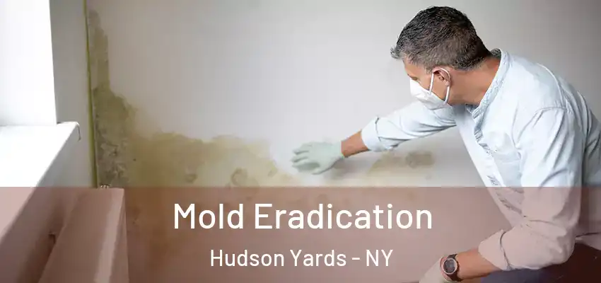  Mold Eradication Hudson Yards - NY
