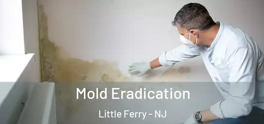  Mold Eradication Little Ferry - NJ