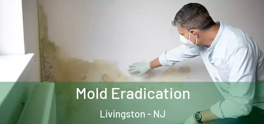 Mold Eradication Livingston - NJ