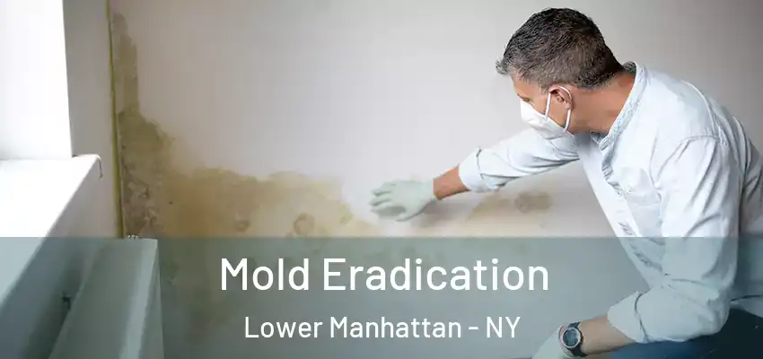 Mold Eradication Lower Manhattan - NY