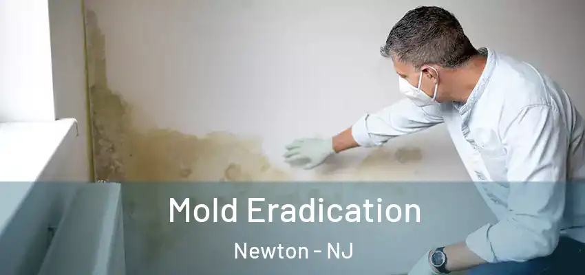 Mold Eradication Newton - NJ