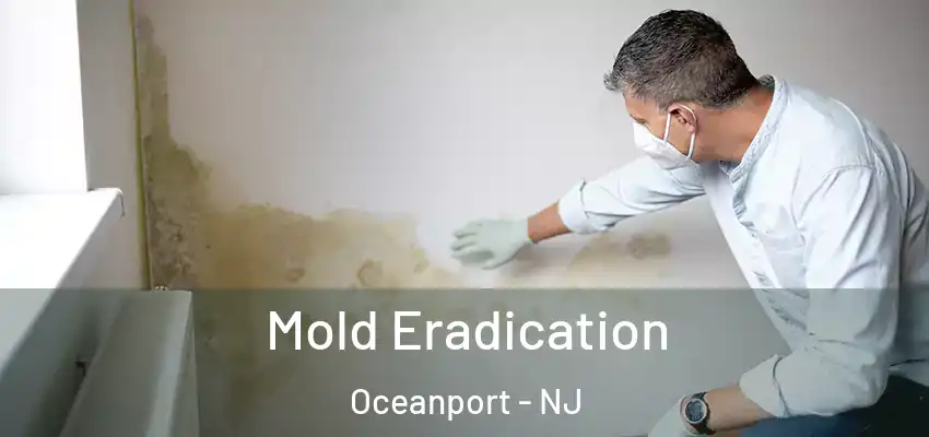 Mold Eradication Oceanport - NJ