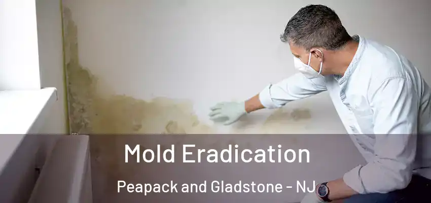 Mold Eradication Peapack and Gladstone - NJ