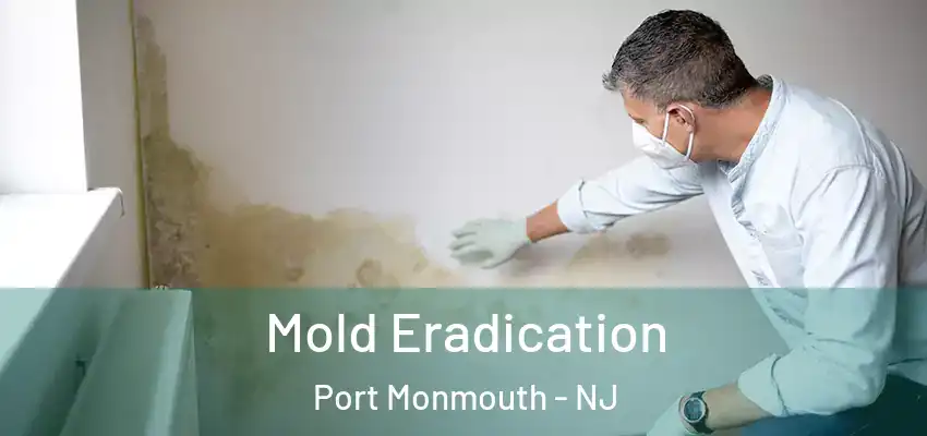 Mold Eradication Port Monmouth - NJ