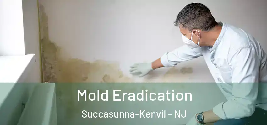  Mold Eradication Succasunna-Kenvil - NJ