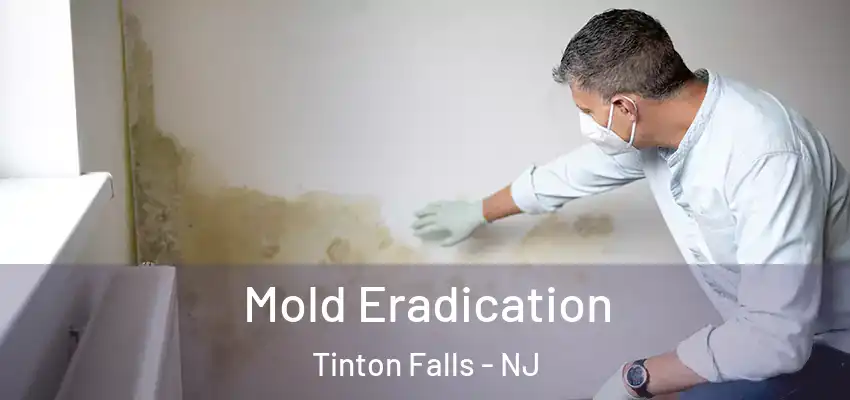 Mold Eradication Tinton Falls - NJ