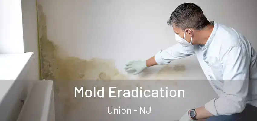 Mold Eradication Union - NJ