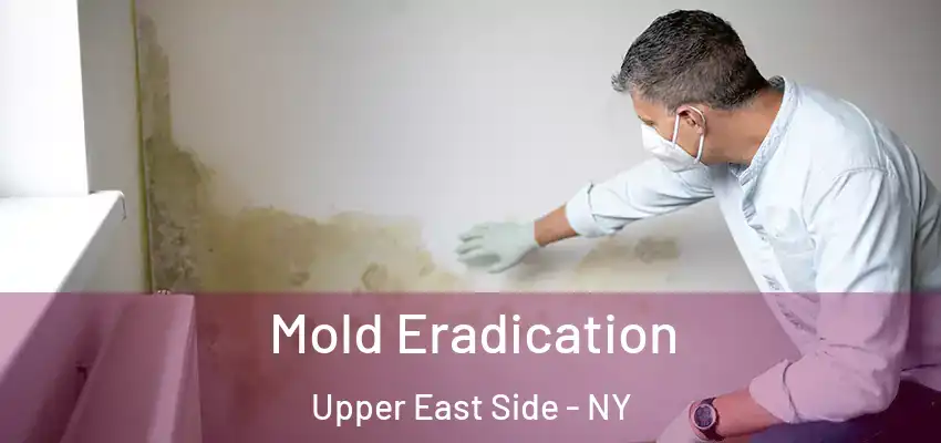 Mold Eradication Upper East Side - NY